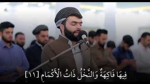 ايات من سورة الرحمن للقارئ بيشةوا قادر الكردي - حالات واتس
