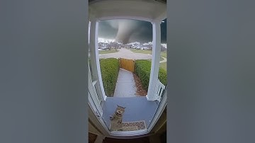 CCTV Captures Cat Begging to Be Let In—Seconds Before the Tornado Strikes