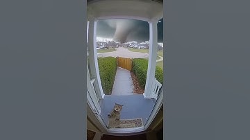 CCTV Captures Cat Begging to Be Let In—Seconds Before the Tornado Strikes