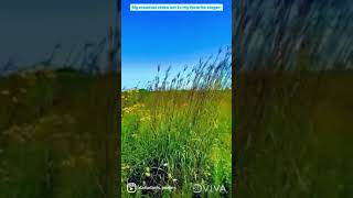 Summertime Road Trip Breeze Kissing My Upper Lip Song Filled Octave Twist