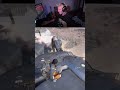 Tfue massive Fail vs BOSS in Arcriders #arcriders #arcridersclips #gaming