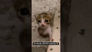 I Lectured Him About These Bills 