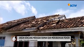 Angin Kencang Merusak Rumah Dan Merobohkan Pohon Liputan 6 Lampung