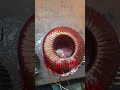 bldc motor 48 volt auto rickshaw 🛺 damage coil