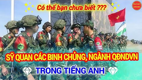 Binh chủng công binh tiếng anh là gì năm 2024