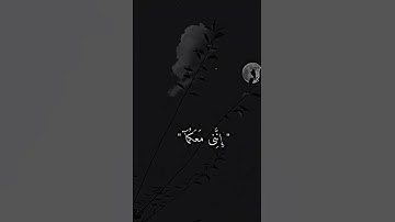 قَالَ لَا تَخَافَآ ۖ إِنَّنِى مَعَكُمَآ أَسْمَعُ وَأَرَىٰ٦٤۝ سورة طه «قرآن