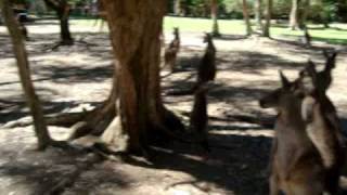 MOV00538.MPG
