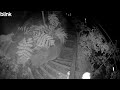 Mountain lions spotted near Monte Rio home