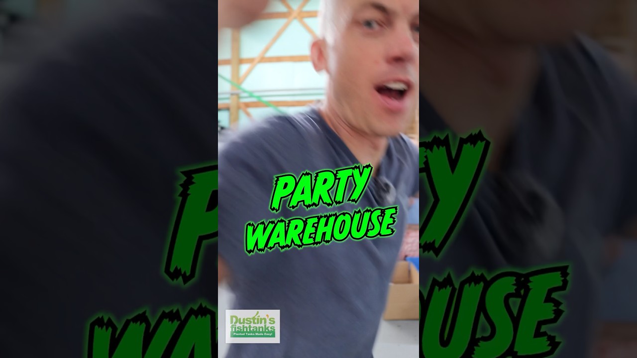 What’s better than the Warehouse?