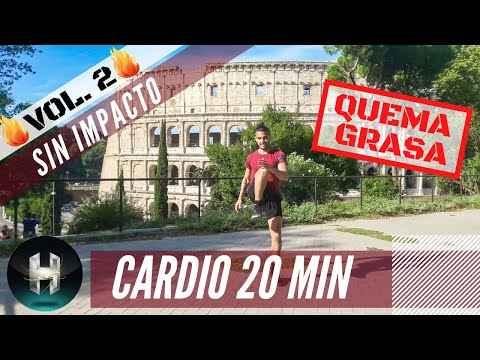 ? Rutina CARDIO SIN IMPACTO PARA ADELGAZAR RÁPIDO | Quema grasa sin saltos 20 minutos | Vol. 2 ?