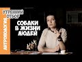 Собаки в жизни человека. Елена Сударикова