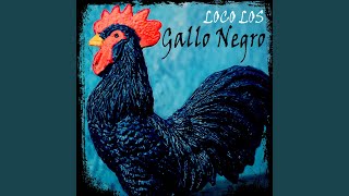 Gallo Negro
