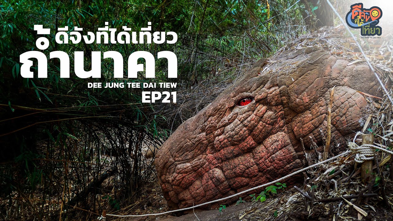 รีวิวเส้นทางขึ้นถ้ำนาคา เที่ยวป่าคำชะโนด ไหว้พญานาค ดีจังที่ได้เที่ยว EP21