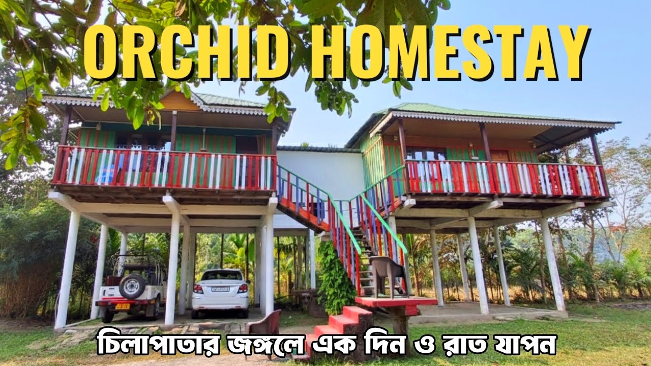 চিলাপাতার জঙ্গলে দিন ও রাত যাপন | Chilapata forest | Siliguri to Chilapata 