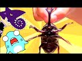 【昆虫展アニメ】ファーブルに学ぶ！体感する昆虫展でカブトムシにさわったサメニンジャー！