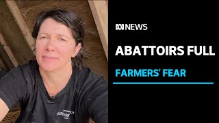 Paddock-to-plate meat industry in danger as Victorian processors ban, limit kills | ABC News