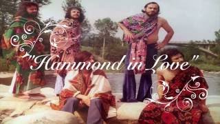 Video thumbnail of "Le Blande Figure - Hammond in Love (1972)"