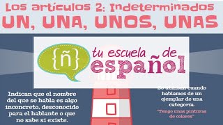 Aprender Español: Clase En Directo Sobre Los Usos De Los Artículos (Nivel Básico)