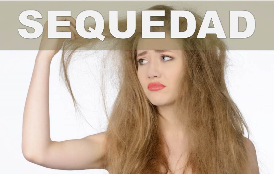 tratamientos caseros para quitar la resequedad del cabello tratamientos caseros para quitar la resequedad del cabello