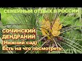 Сочинский дендрарий. Нижний парк. Есть на что посмотреть.