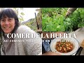 NOTICIÓN!!! Comer de la Huerta | Así comemos todo el Año sin Comprar de Más