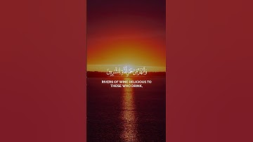 تلاوه خاشعه للشيخ محمد اللحيدان ♥️🎧#محمد_اللحيدان #تلاوة_خاشعة #اكسبلور #quran #تلاوات #راحة_نفسية