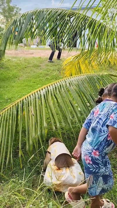 Hasha daddy bring bee 🐝🐝