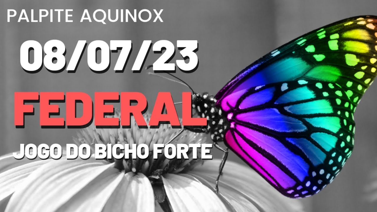 ▷ Palpites Federal - 08 de Julho 2023 - jogo do bicho hoje todas loterias »  Domiplay