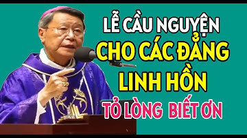 LỄ CẦU HỒN - CẦU NGUYỆN CHO CÁC LINH HỒN ĐÃ QUA ĐỜI | ĐỨC CHA KHẢM GIẢNG MỚI NHẤT