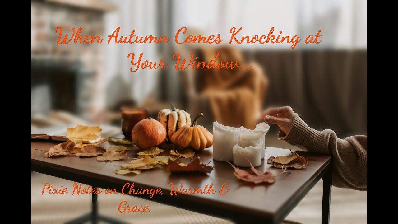 Когда осень стучится в ваше окно 🍂 Заметки Пикси о переменах, тепле и благодати