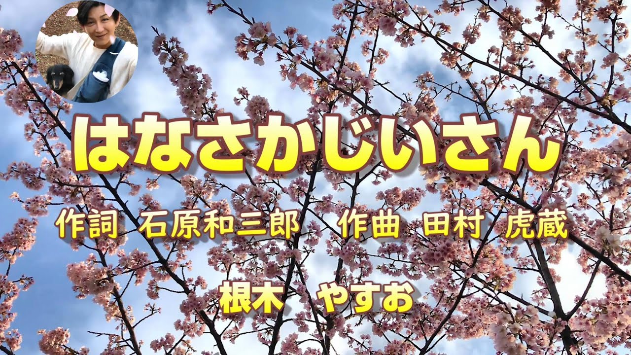 【童謡】♬はなさかじいさん #おかあさんといっしょ #歌のお兄さんネッキー #日本の童謡 #はなさかじいさん #ダックスフンド - YouTube