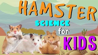 Hamster | Science for Kids