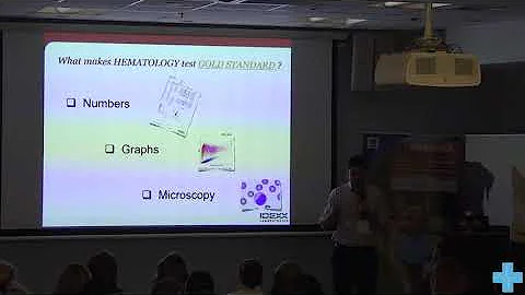 Интерпретация общего анализа крови у собак и кошек. 1 часть