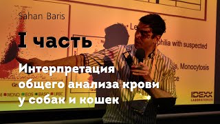 Интерпретация общего анализа крови у собак и кошек. 1 часть