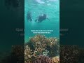 DEBAJO DEL AGUA TODO SE SIENTE DISTINTO #TravellingwithMonika #Snorkel #BajoElAgua #ViajarEsVivir