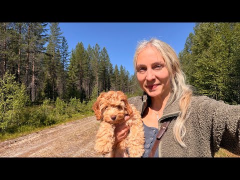 Emotionally Overwhelmed on a Dirt Road in the Woods