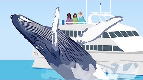 Hoe samengestelde uitkomsten werken | NEJM-bewijs