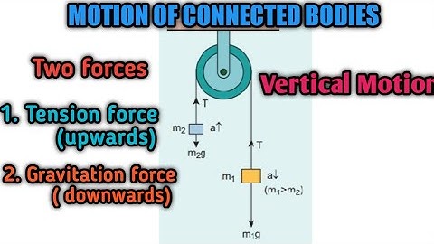 Motion of connected bodies | Vertical Motion | Ln.3 Laws of Motion | 11 Physics.
