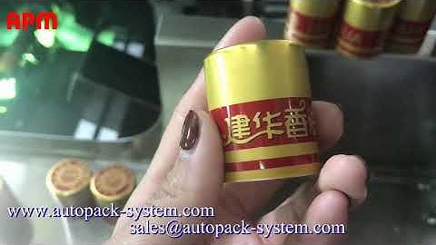 S107 Auto cap screen printing machine