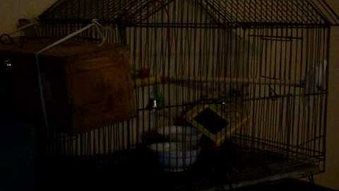 Kaossilator Full Review and Tutorial