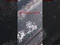 Captured a snowflake ❄️
