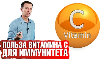 Витамин С на страже иммунитета. В каких продуктах больше всего витамина С.