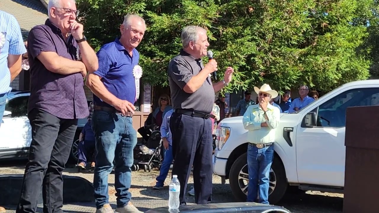 Bodo de leite pezinho Thornton 10-2025.