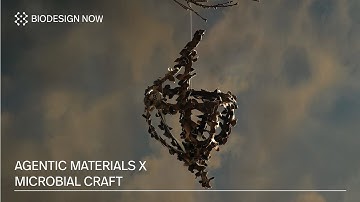 Agentic Materials & Microbial Craft | Weronika Turowska