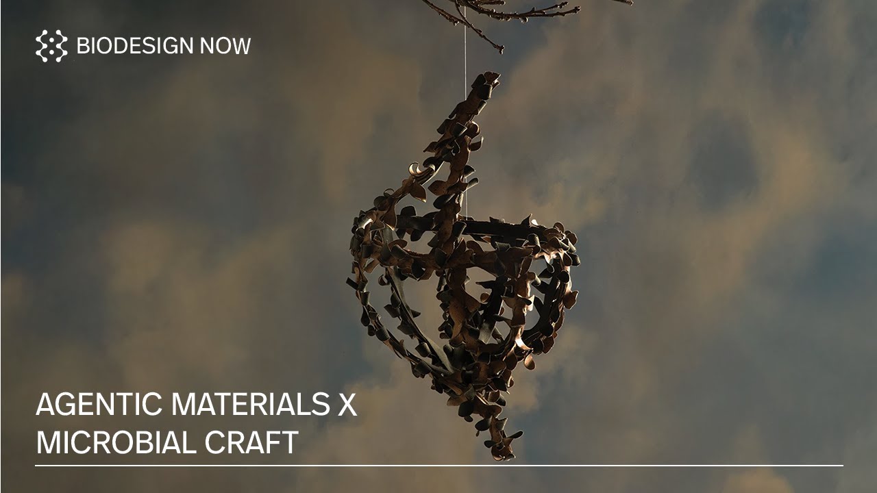 Agentic Materials & Microbial Craft | Weronika Turowska