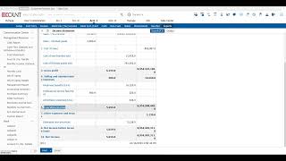 [ECOUNT Practice] Reports - Financial Statements
