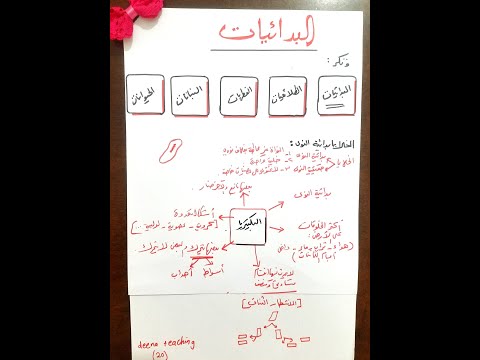 البدائيات الممالك الخمس تصنيف وتكر البكتيريا الصف الثامن