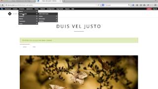 Visia Drupal Page builder Configure OnePage screenshot 4