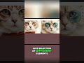 Is Squarespace Still the Best? (AI Review) #entrepreneur #aireviews #squarespace  #creativewebsite