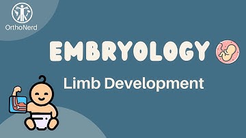 Embryology - Limb & Bone Development Explained | MedSchool Revision | Livestream VOD